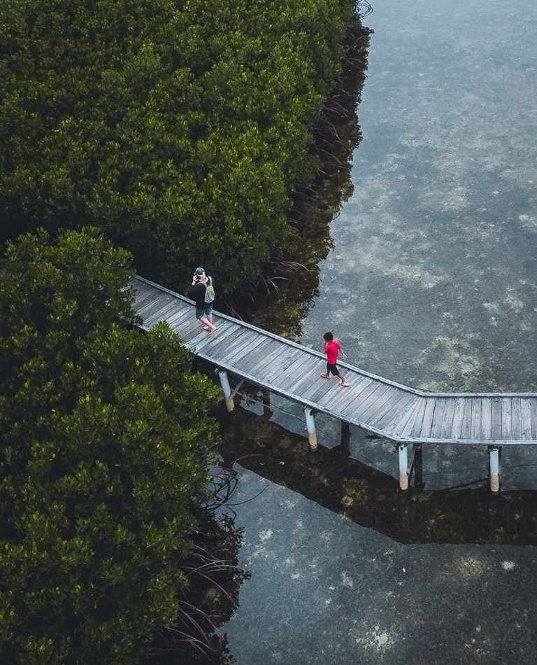 Jembatan Mangrove Pulau Kelapa Dua Kepulauan Seribu