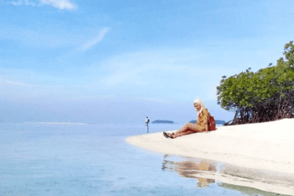 Pantai Pulau Dolphin