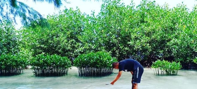 Area Mangrove Pulau Pramuka