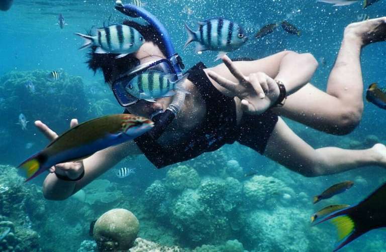 Spot Snorkeling Pulau Macan Gundul Wisata Pulau Harapan