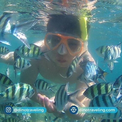 Spot Foto Taman Laut Nasional Pulau Pramuka Dino Traveling