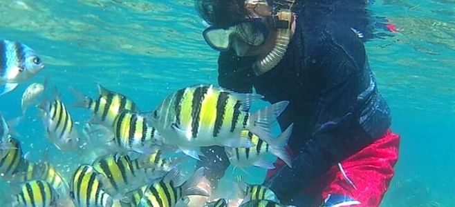 Spot Snorkeling Wisata Pulau Pari