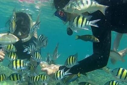 Spot Snorkeling Wisata Pulau Tidung Kepulauan Seribu